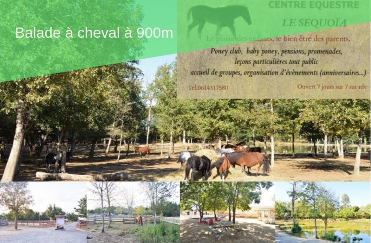 Le Grand Cottage Nature Piscine Chauffee Privee Du Tarn Entre Toulouse Et Albi & Les Cottages Du Tarn Peyrole ภายนอก รูปภาพ